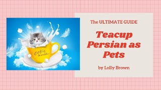 Teacup Persian Cats - Breeding, Where To Buy, Care, Temperament, Health, Grooming, Diet, And More