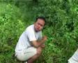Looking for the orang-outang