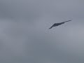 B-2 Stealth Bomber B-2 Stealth Bomber