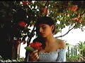 MIS DESVELOS POR TI - ALBUM MUSICAL DEL RECUERDO