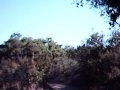 Santa Rosa Plateau Mountain Bike Ride B