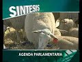 INFO CAMPO, SINTESIS, EL FEDERAL INFOMEDIA; CANAL 9