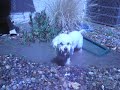 Maybelle is a mess