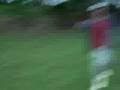 videos de carreto do guigui