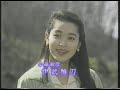 hoshino kinka5-1 hoshino kinka5-1