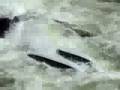 Lochsa Raft Crash and Bash