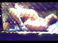 Joe's first fight