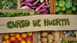 Huerta 1 - La huerta orgánica. Huerta 1 - La huerta orgánica.