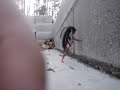 Chuck girl Killer Hoe part 1