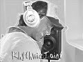 Disco Volante Nubreed Heartbeat mix