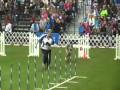 AKC Agility Invitational... View Video