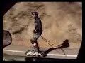 www.terrablades.com