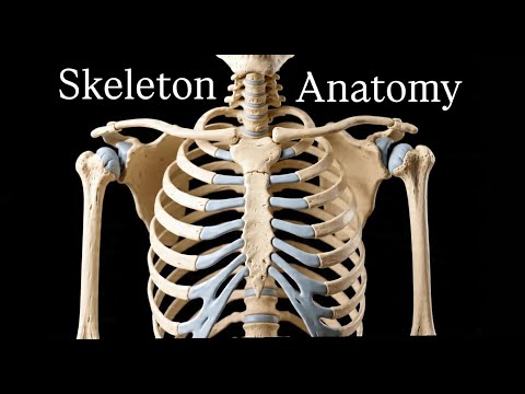 Skeleton Bones Anatomy |All skeleton bones in one video| #anatomy #mbbs #bones #aiimsdelhi #medical