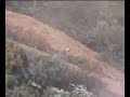 Mineshaft Crash Mineshaft Crash