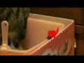 にゃんとも勘違い♪ filmo cmコンテスト 「ツネオテレビ」