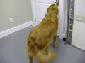 System Test 11