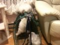 Fluffy charm himalayan kittens 10 weeks old