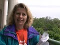 Relay to Submit Petitions for Instant Runoff Voting