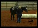 Reis Ranch Endorsed Instructor Chelsie Kallestad 2007 Reis Ranch Endorsed Instructor Chelsie Kallestad 2007