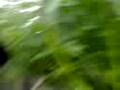 videos de holding the line -action shots