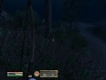 Click here to watch this video Good Morning Cyrodiil! Episode 5 - Everyone Else is DEAD!