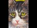 ACEOs by Christine A Robinson on eBay