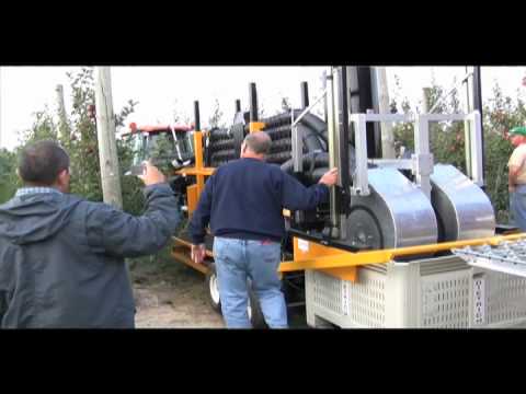New technology to reduce bruising in apple harvesting