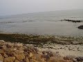 Oman Sur Various Aug 19 27, 2009 022