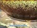 عرض تخيلي - أخر يوم على الأرض - يوم القيامة - شاهد وإعتبر