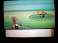 Shiny Shinx Encounter With Poke Radar (Second One) Shiny Shinx Encounter With Poke Radar (Second One)