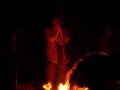 PFF Campfire Harmonica Player
