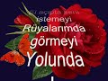 turnalara tutunda gel turnalara tutunda gel