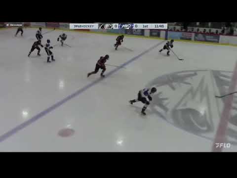 2024 Primary Assists