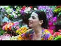 M�sica de Bolso - Nina Becker - Janela
