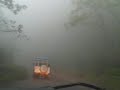 Magnificent Drive in Kuduremukha Forest