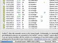 Filesharing World Record with UseNeXT