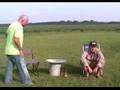 videos de Thorby and The Bob