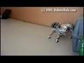 Robopet Voice Control Demo