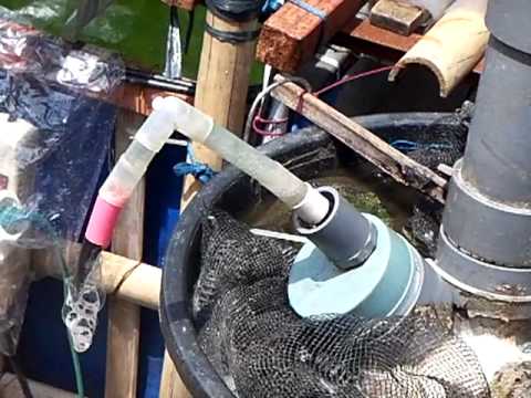 Lele RAS System/lele sistem resirkulasi.MP4