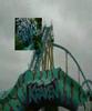 Wasserchefs in Florida - Sea World Orlando Wasserchefs in Florida - Sea World Orlando