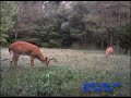 2007-06-19 0659 H2 OFP Cuddeback SHooter