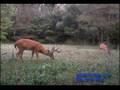 2007-06-19 0659 H2 OFP Cuddeback SHooter