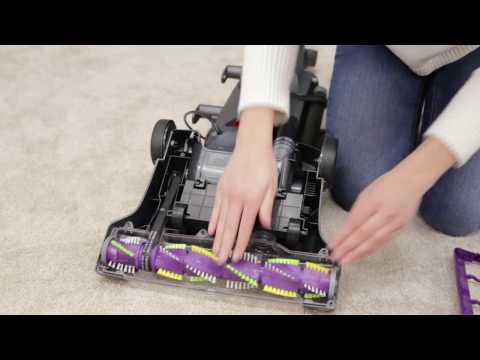 Powerlifter Pet Bagged - Belt Maintenance Video 2019