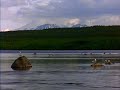 Lake.wmv sambuena 1982