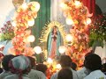 Virgin of Guadalupe Virgin of Guadalupe