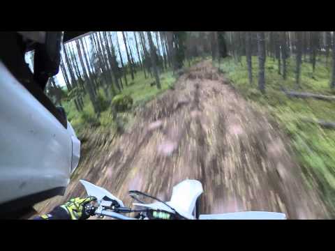 Imagen de previsualización de YouTube