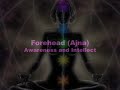 Chakras