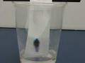 Paper Chromatography
