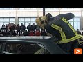 Auto istripuen gaineko kontzientziazio  kanpaina antolatu dute Maristetan. Hitzaldien ondoren, su-hiltzaileek auto istripu baten erreskatea simulatu dute