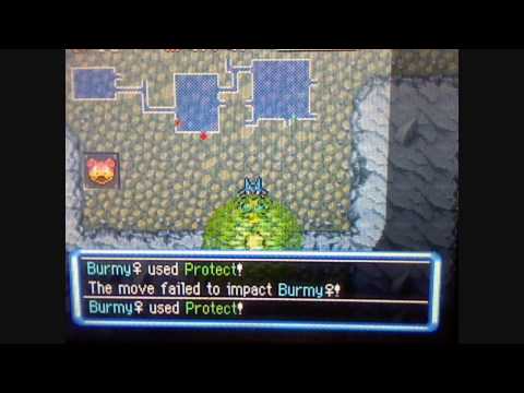 how to raise iq in pokemon explorers of sky
